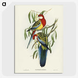 1-29_John-Gould_picture-crop