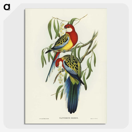 1-29_John-Gould_picture-crop