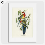 1-29_John-Gould_picture