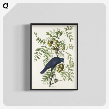 1-29_John-James-Audubon_blk-crop
