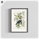 1-29_John-James-Audubon_blk