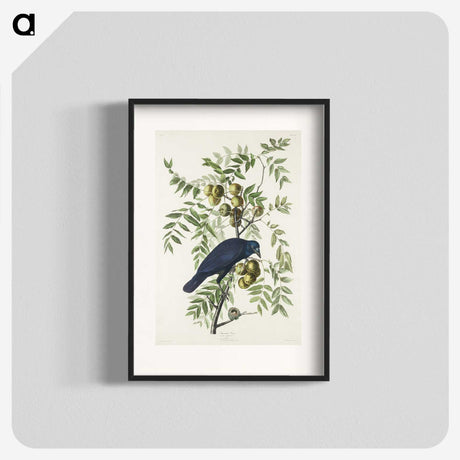 1-29_John-James-Audubon_blk