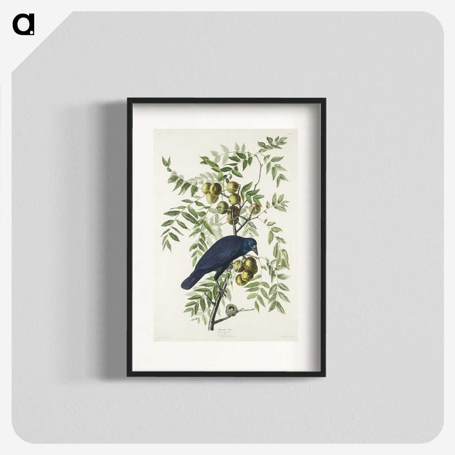 1-29_John-James-Audubon_blk
