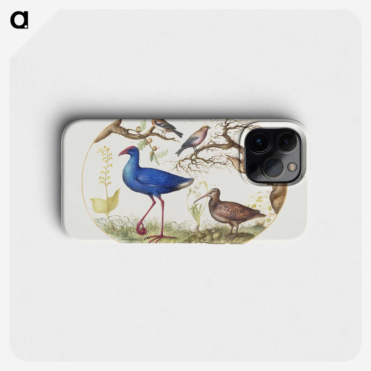 1-29_Joris-Hoefnagel_phone