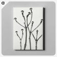 1-29_Karl-Blossfeldt_canvas