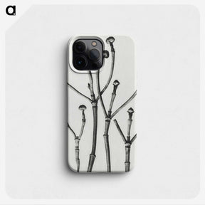 1-29_Karl-Blossfeldt_phone