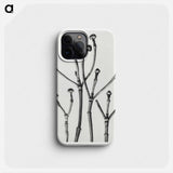 Cornus Florida - Karl Blossfeldt Phone Case.