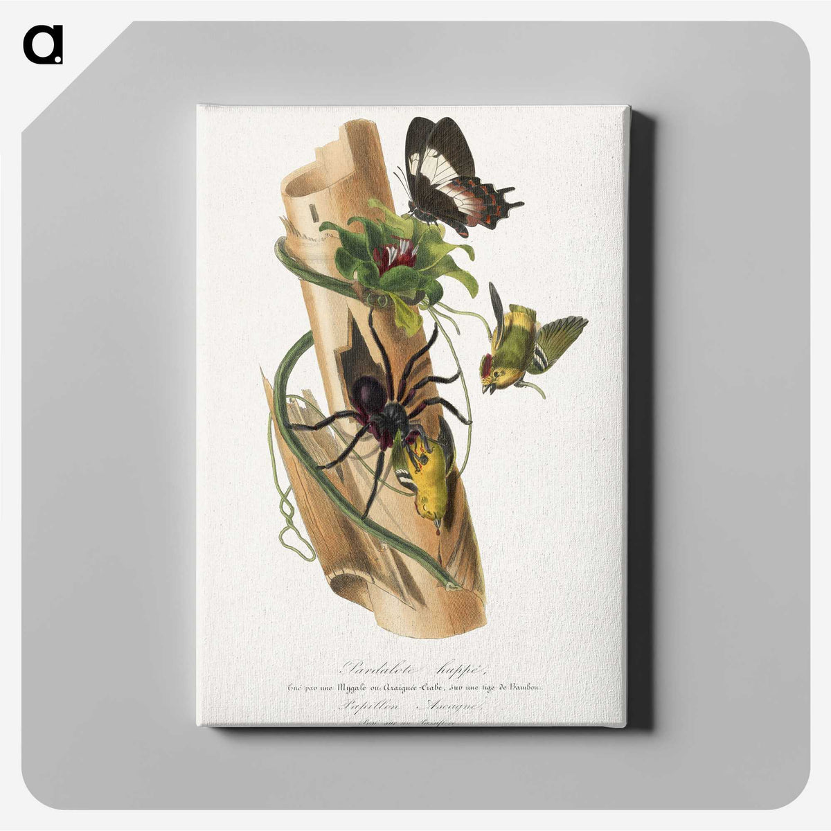 1-29_Le-Jardin-des-Plantes_canvas