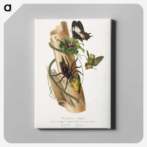 1-29_Le-Jardin-des-Plantes_canvas