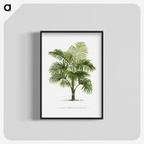 1-29_Les-Palmiers-Histoire-Iconographique_blk-crop