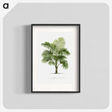 1-29_Les-Palmiers-Histoire-Iconographique_blk