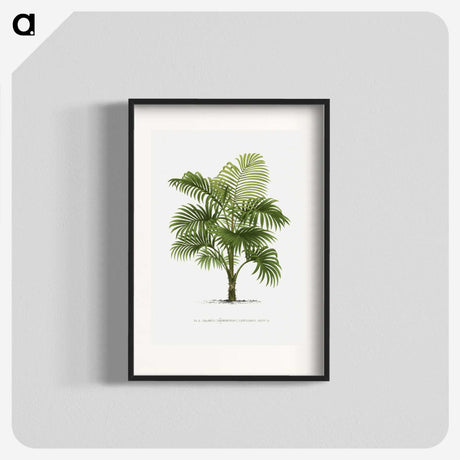 1-29_Les-Palmiers-Histoire-Iconographique_blk