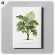 1-29_Les-Palmiers-Histoire-Iconographique_canvas