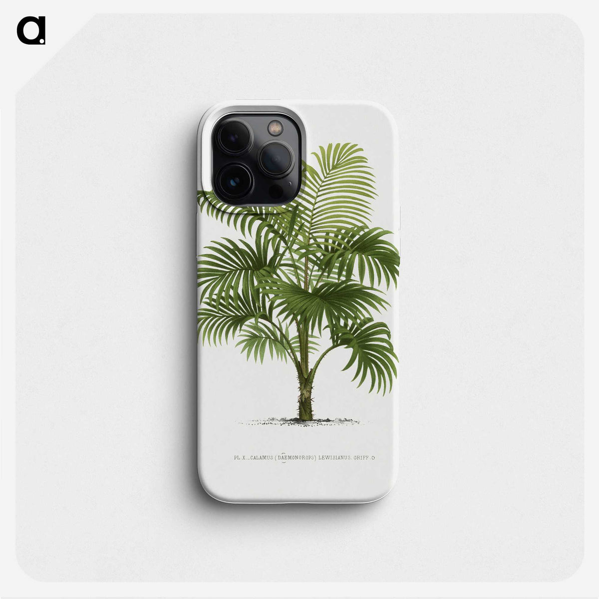 1-29_Les-Palmiers-Histoire-Iconographique_phone