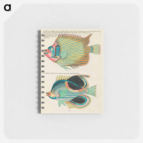 アートメモ帳-Moluccan Fishes
 - ルイ ルナール Memo.