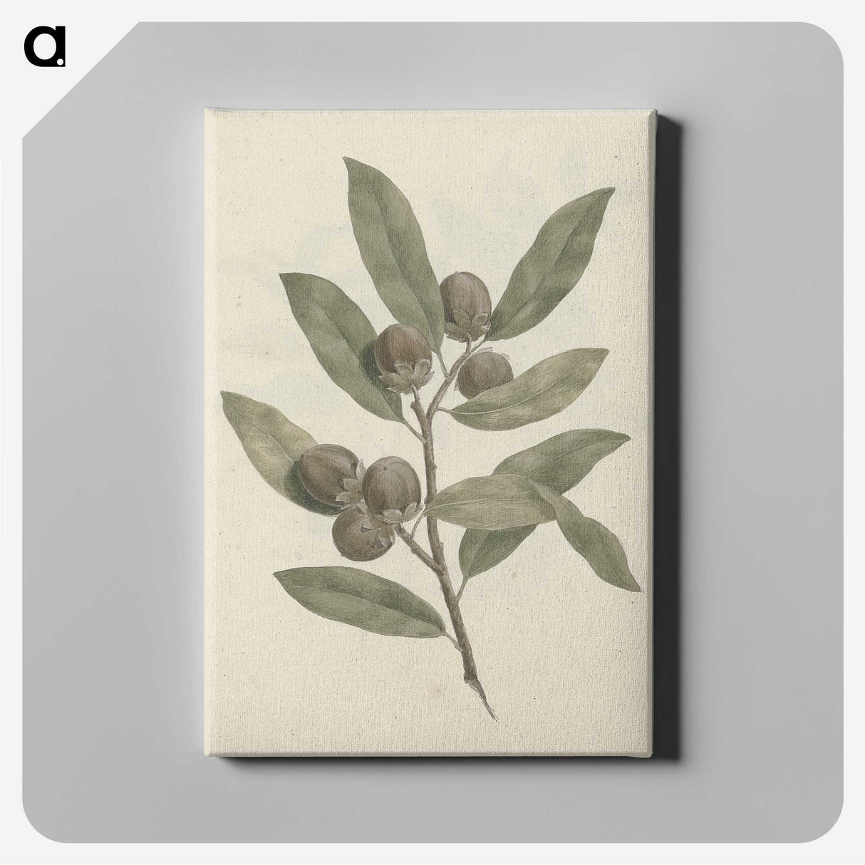 1-29_Luigi-Balugani_canvas