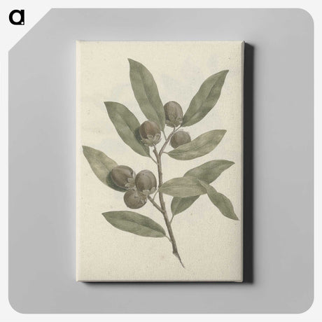 1-29_Luigi-Balugani_canvas