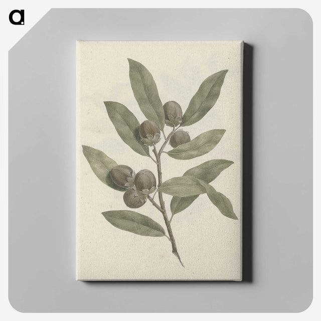 1-29_Luigi-Balugani_canvas