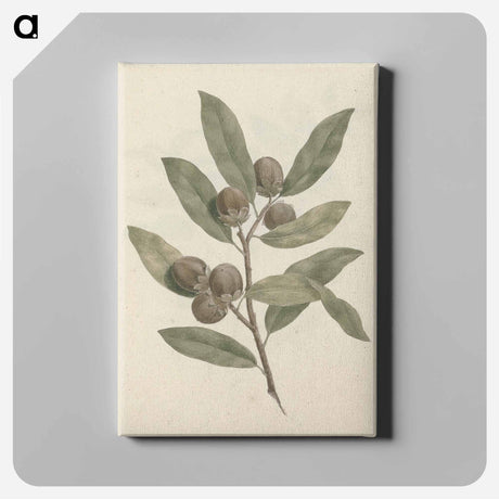 アートパネル-African Ebony
 - ルイージ バルガーニ Canvas.