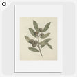1-29_Luigi-Balugani_picture