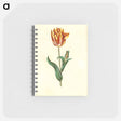 アートメモ帳-Tulipa gesneriana
 - マリア ジビーラ メーリアン Memo.