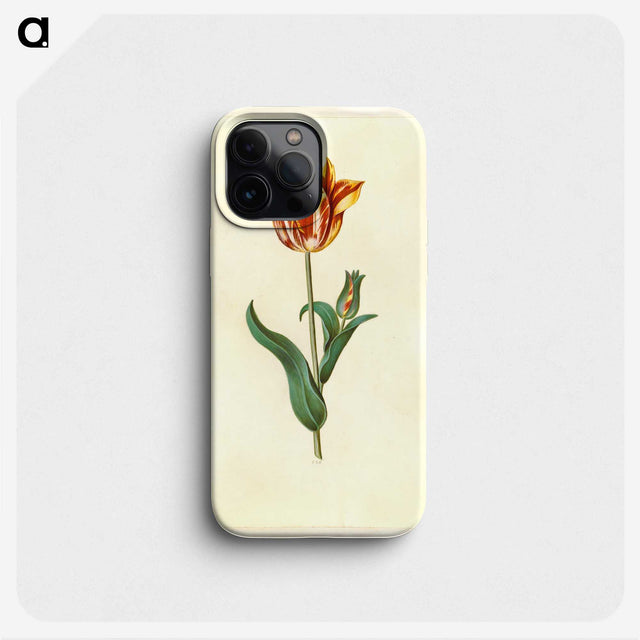 1-29_Maria-Sibylla-Merian_phone