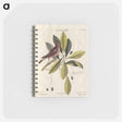アートメモ帳-Bird and Plants Illustration
 - マーク ケイツビー Memo.
