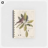 アートメモ帳-Bird and Plants Illustration
 - マーク ケイツビー Memo.