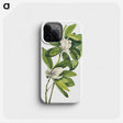 1-29_Mary-Vaux-Walcott_phone