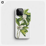 1-29_Mary-Vaux-Walcott_phone