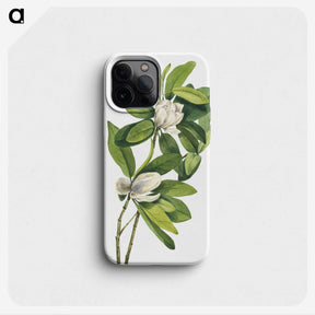 1-29_Mary-Vaux-Walcott_phone