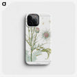 1-29_Maurice-Pillard-Verneuil_phone