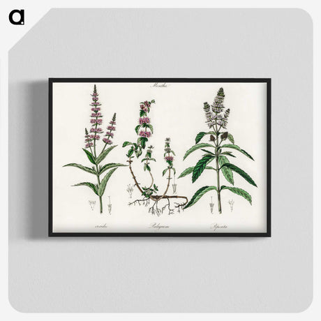 1-29_Medical-Botany_blk-crop