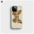 1-29_Moths-and-Butterflies-of-the-United-States_phone