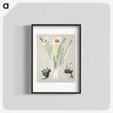 1-29_Native-Flowering-Plants-of-New-Zealand_blk