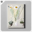 1-29_Native-Flowering-Plants-of-New-Zealand_canvas