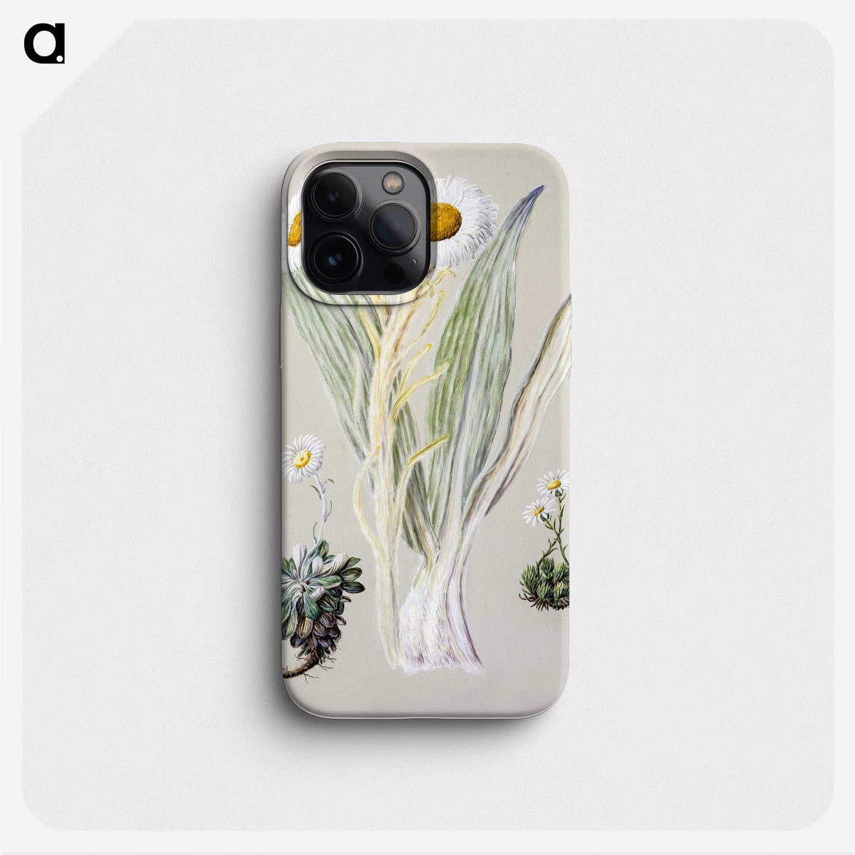 1-29_Native-Flowering-Plants-of-New-Zealand_phone