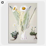 1-29_Native-Flowering-Plants-of-New-Zealand_picture-crop