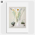 1-29_Native-Flowering-Plants-of-New-Zealand_picture