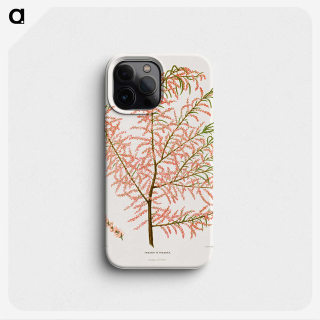 1-29_Nederlandsche-Flora-en-Pomona_phone