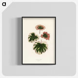 1-29_New-and-Rare-Beautiful-Leaved-Plants_blk-crop