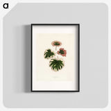 1-29_New-and-Rare-Beautiful-Leaved-Plants_blk