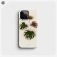 1-29_New-and-Rare-Beautiful-Leaved-Plants_phone