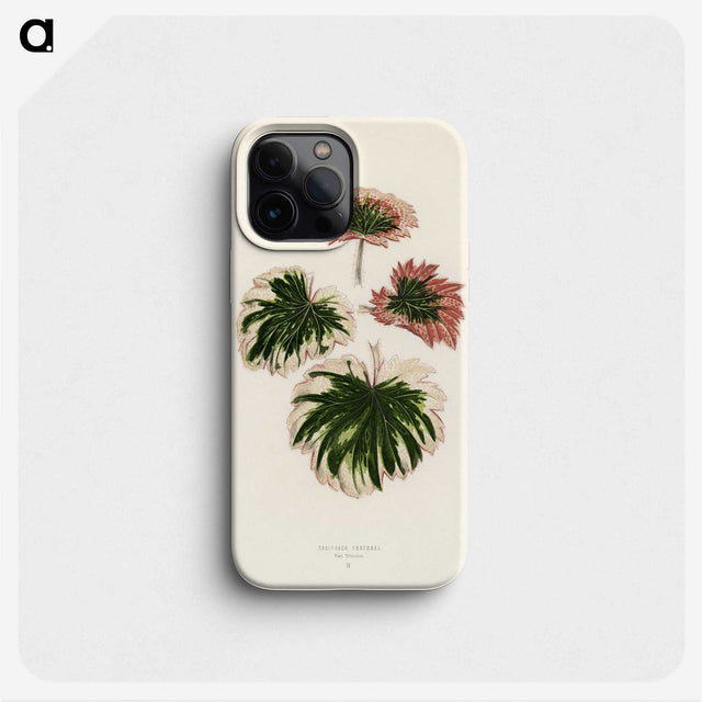 1-29_New-and-Rare-Beautiful-Leaved-Plants_phone