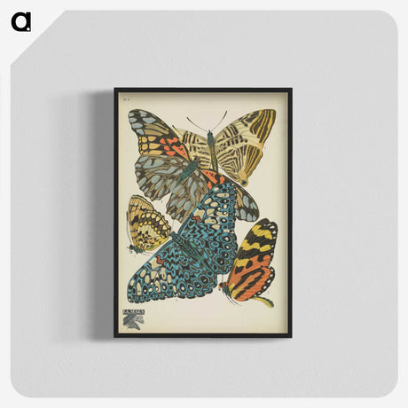 1-29_Papillons_blk-crop