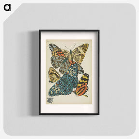 アートポスター-Vintage Butterflies
 - パピヨン Poster.