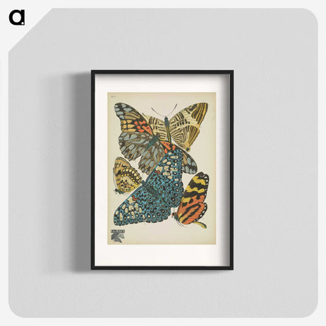 1-29_Papillons_blk