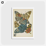 1-29_Papillons_hagaki