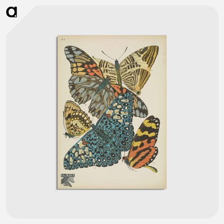 アートポストカード-Vintage Butterflies
 - パピヨン Postcard.