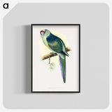 1-29_Parrots-in-Captivity_blk-crop